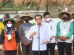 Petani Diperbolehkan Membeli Pupuk Subsidi dengan KTP saat Masa Tanam, Keputusan dari Jokowi