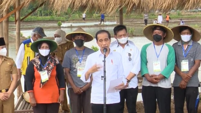 Petani Diperbolehkan Membeli Pupuk Subsidi dengan KTP saat Masa Tanam, Keputusan dari Jokowi