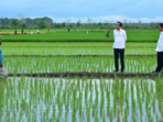 Aktivis Papua Menyuarakan Penolakan Terhadap Proyek Satu Juta Hektar Sawah di Merauke