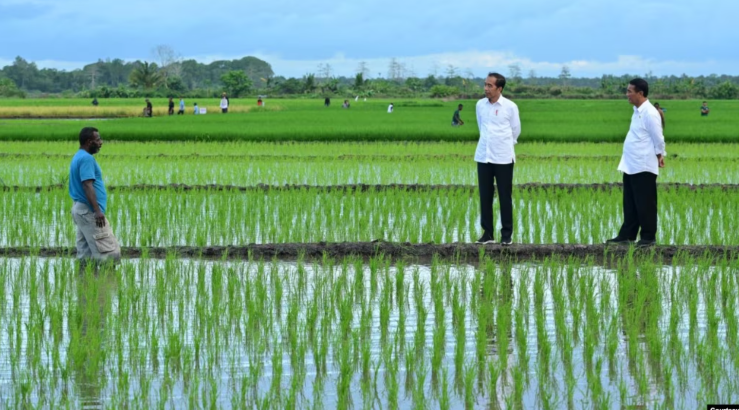 Aktivis Papua Menyuarakan Penolakan Terhadap Proyek Satu Juta Hektar Sawah di Merauke