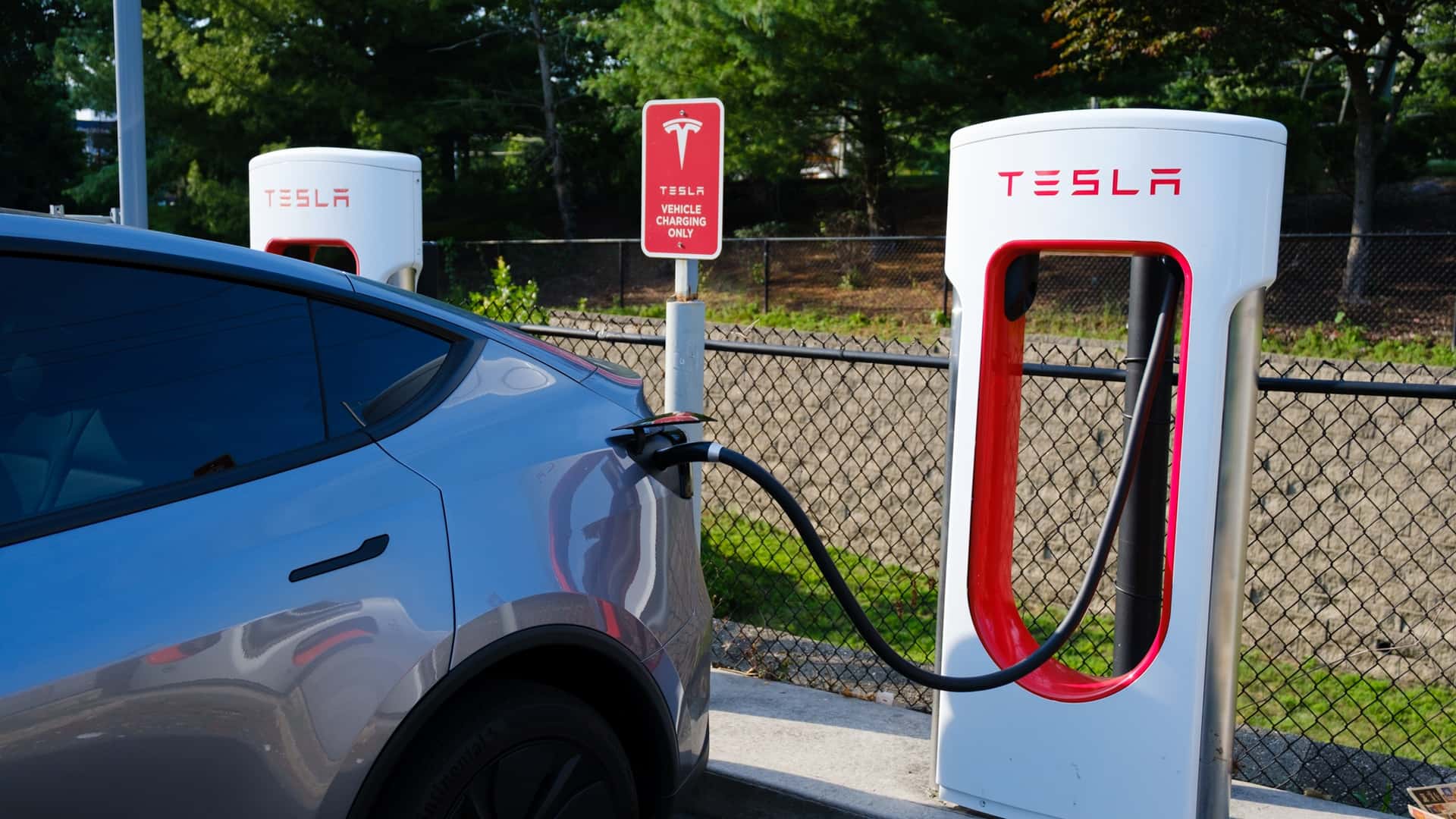 2026-tesla-model-y-juniper.jpg